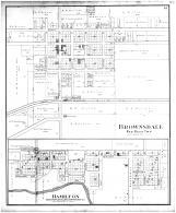 Brownsdale, Hamilton, Mower County 1896